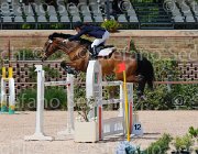 DE RISIO IRWIN CampITA2013- S5 0247 : Campionati Italiani 2013, Cattolica, DE RISIO DANIELA, E.H. IRWIN LIZZY, Horse Riviera Resort, foto di Stefano Secchi ©